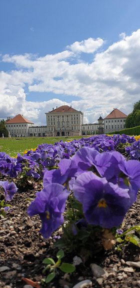 Najładniejsze zdjęcie użytkownika RobertEkkert - 