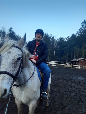 hair, horse, bridle, rein, sports