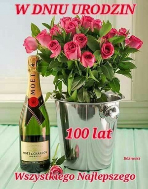 petal, tableware, plant, flower