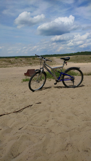 vehicle, beach, sand, bicycle, wheel, soil