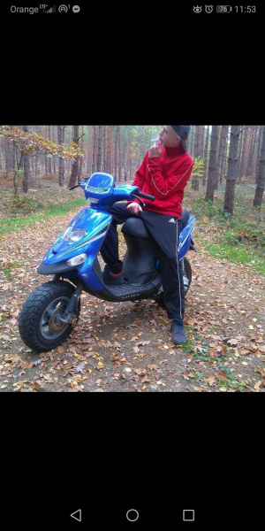vehicle, motorcycle