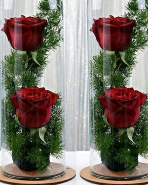 petal, tableware, plant, flower, centrepiece, flowerpot