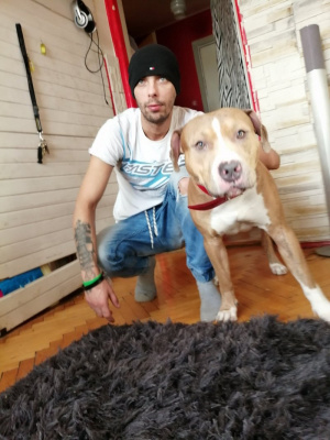jeans, dog, pet