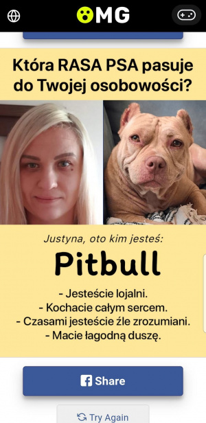 skin, dog, poster