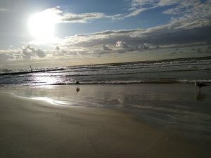 sky, beach, sand, sunset
