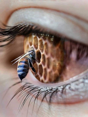 eyelash, skin, insect