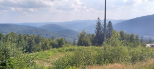 sky, forest, mountain