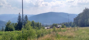 forest, mountain