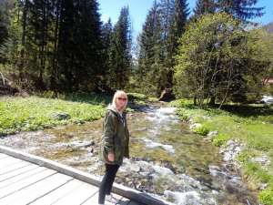 jacket, outerwear, mountain