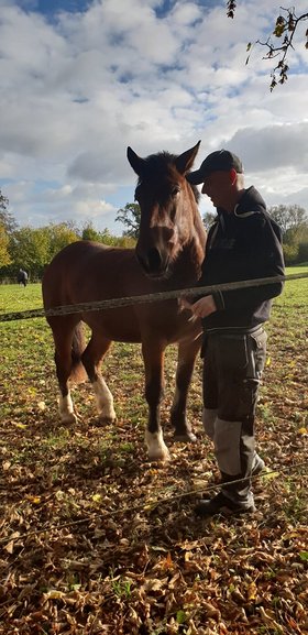 Najładniejsze zdjęcie użytkownika pitbohl - 