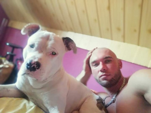muscle, dog, pet