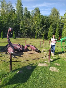 Najładniejsze zdjęcie użytkownika Zuzia1973 - 