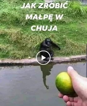 Najładniejsze zdjęcie użytkownika Bangermates - 