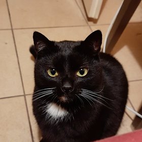 Najładniejsze zdjęcie użytkownika GooFY1986 - 