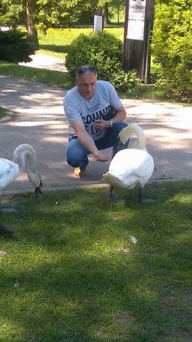 Najładniejsze zdjęcie użytkownika AndrzejMakuch - 