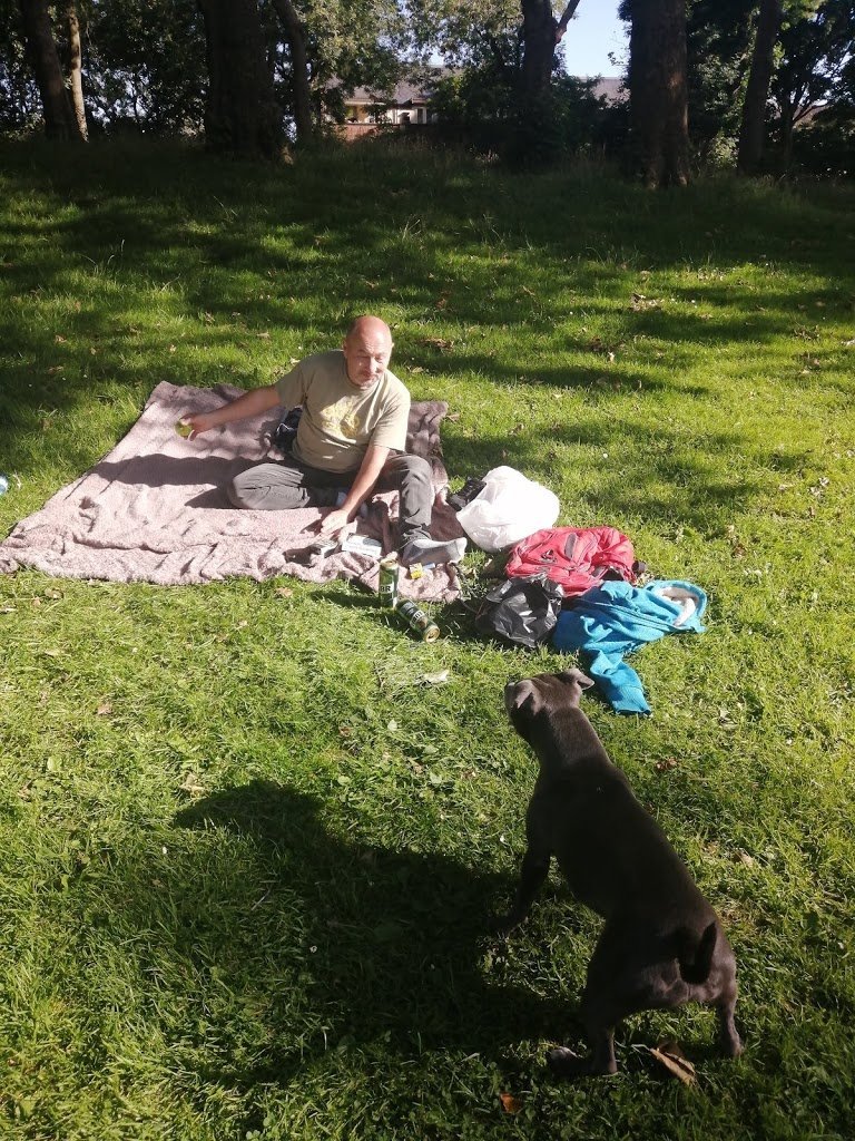 sitting, dog, pet, garden