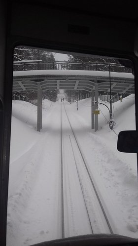 Najładniejsze zdjęcie użytkownika WolnyKacper - 