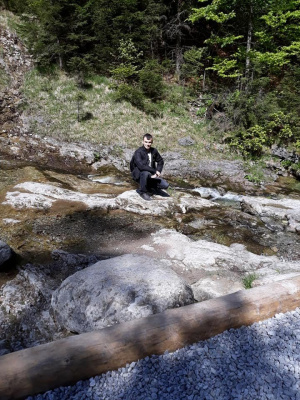 sitting, forest, rock
