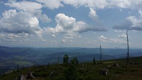 Najładniejsze zdjęcie użytkownika Tomek987 - 