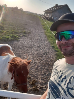 fun, cool, glasses, vacation, sunglasses, goggles, horse