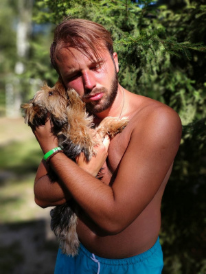 muscle, dog