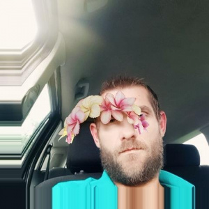 hair, beard, vehicle