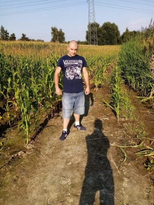 field, jeans, denim, soil