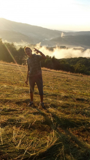 field, sky