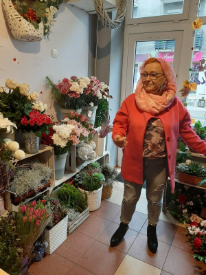 christmas, flower