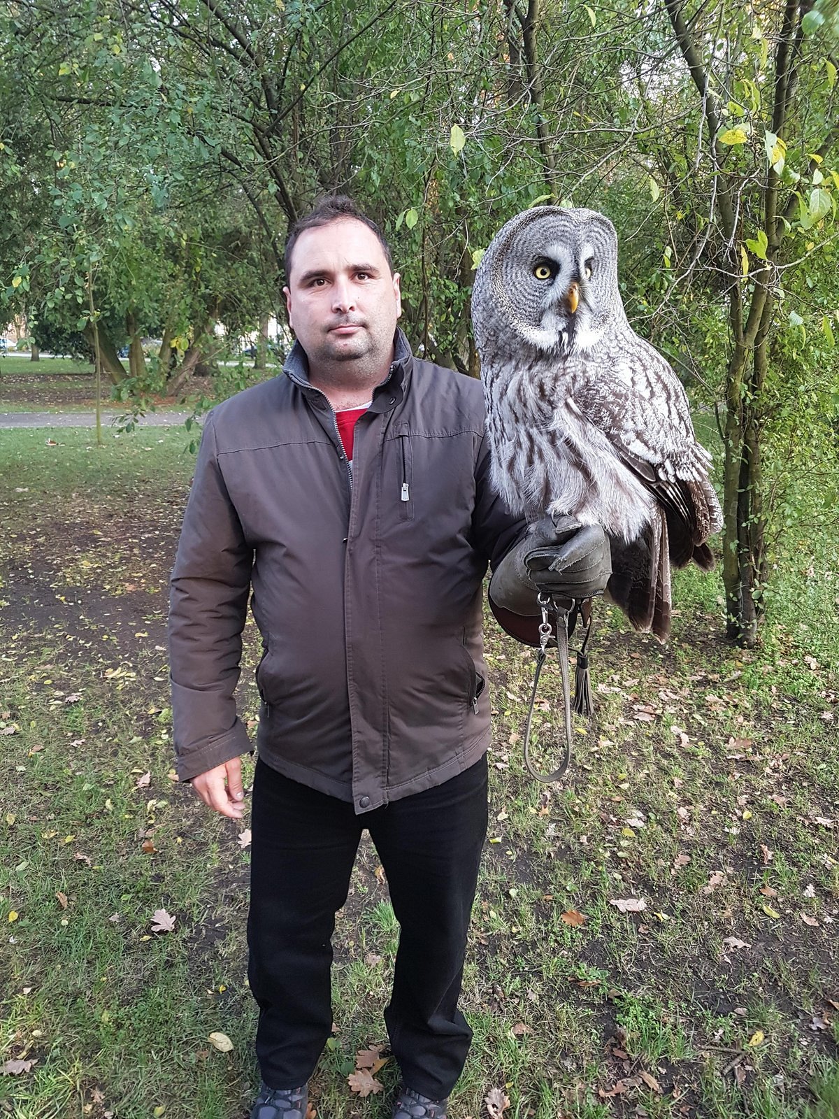 jacket, outerwear, bird