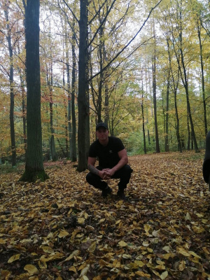 forest, plant
