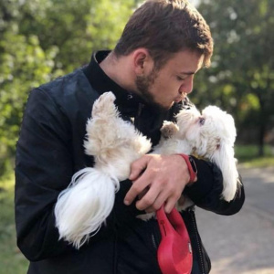 dog