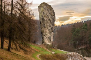 sky, forest, rock, mountain