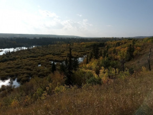 sky, forest, mountain
