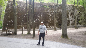 leisure, standing, forest