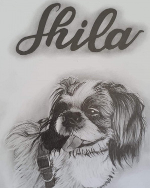 dog
