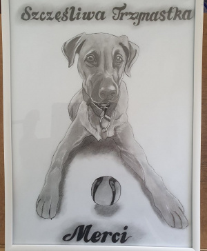 dog