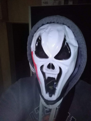 helmet