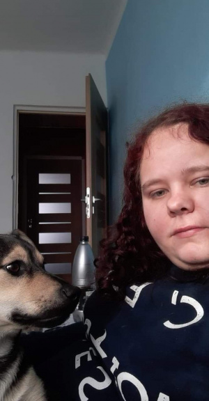 dog