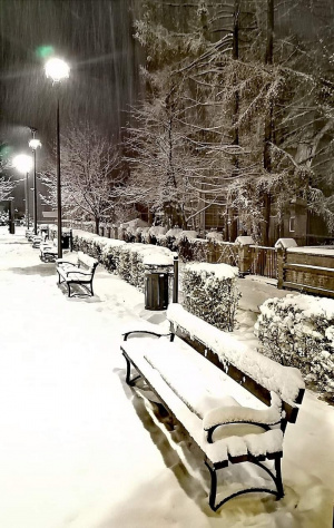 monochrome, bench