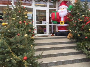 christmas, event