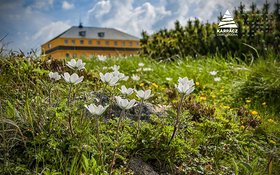 Najładniejsze zdjęcie użytkownika light07 - 