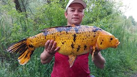 Najładniejsze zdjęcie użytkownika Jachuwwwo - 