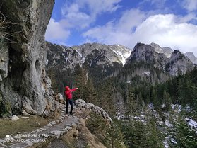 Najładniejsze zdjęcie użytkownika MeloN2012 - 