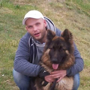 dog, pet