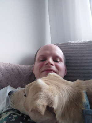 dog, pet