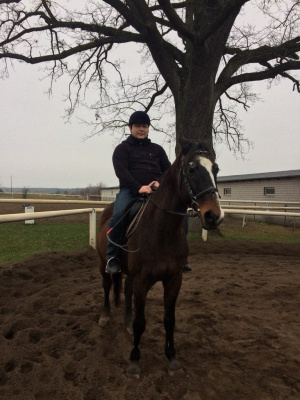 hair, horse, bridle, rein, sports