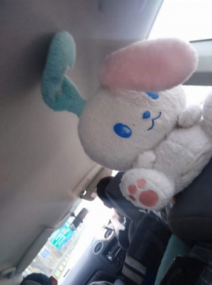 textile, toy, product, stuffed-toy, plush