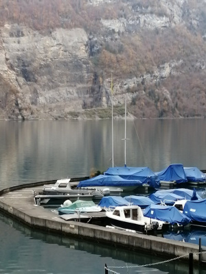 vehicle, lake, boat