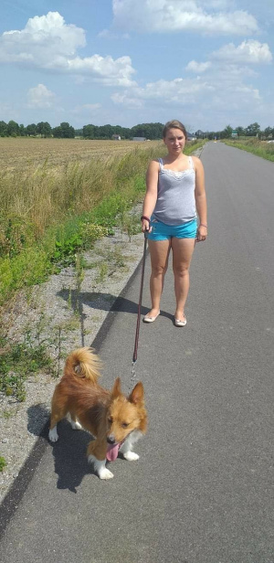 vacation, dog, pet